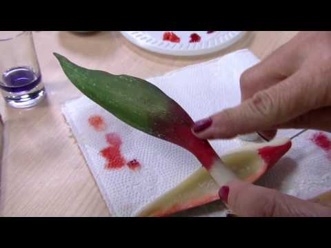 Strelitzia em Biscuit por Alessandra Assi - 22/07/2017 - Mulher.com - P2/2