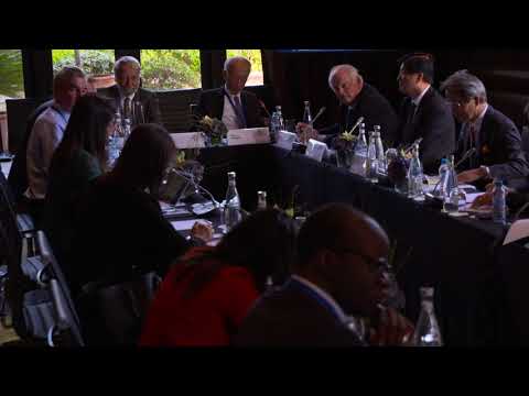 WPC2017 Parallel Workshop 2 - Friedbert Pflüger