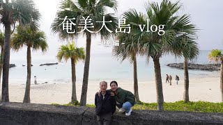【奄美大島】ハートロックやホエールウォッチング観光🐳/ばしゃ山村に宿泊-後編-
