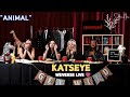 ✨(ALL SUB) KATSEYE WEVERSE LIVE 🤩👑🦄 (07.24.26) "ANIMAL" LIVE #weverselive #katseye #animal