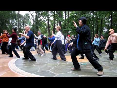 Demo 1 - Cheng Man-Ch'ing Tai Chi