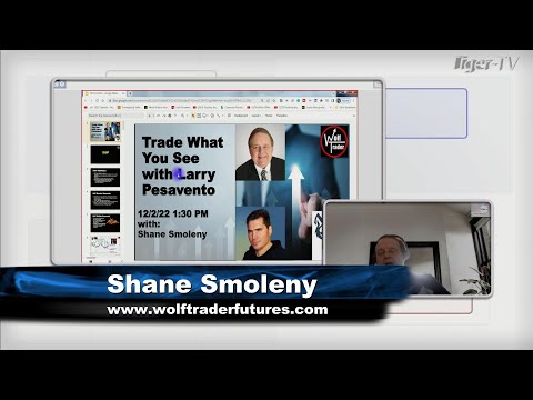 December 2nd Trade What You See with Larry Pesavento  on TFNN - 2022