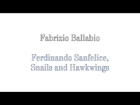 Fabrizio Ballabio - Ferdinando Sanfelice, Snails & Hawkwings.