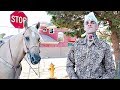 Cardi B - Bodak Yellow [OFFICIAL MUSIC VIDEO] - LiL MoCo REMIX ( Cholo Parody )
