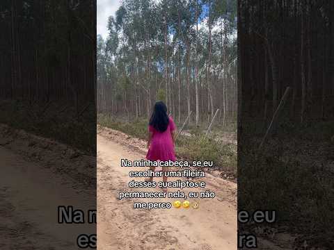 😂😂😂😂 #eucalipto #plantacao #aguafria #bahia