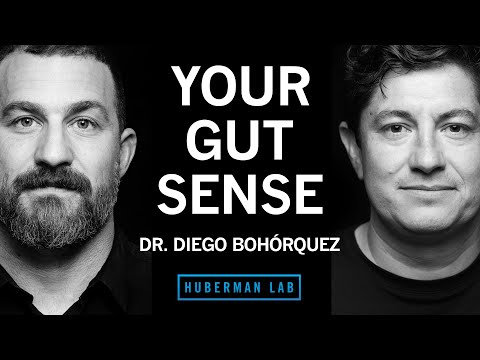 Dr. Diego Bohórquez: The Science of Your Gut Sense & the Gut-Brain Axis