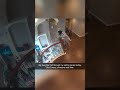 Daughter Falls Through Ceiling