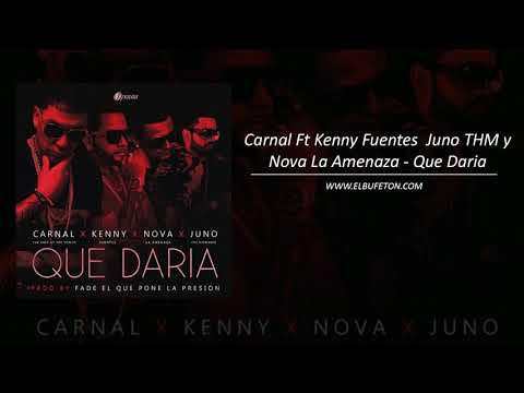 Carnal Ft Kenny Fuentes  Juno THM y Nova La Amenaza   Que Daria www elbufeton com