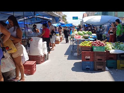 FEIRA LIVRE NA CIDADE DE IBIAPINA CEARÁ DIA 06/09/26