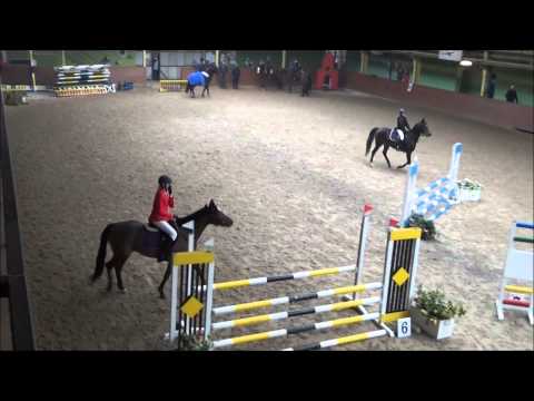 ZAWODY KONNE JASZKOWO SUMMERWINE SUMMER WINE KAROLINA PORZUCKOWIAK