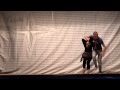 Селява 2014 - Селявский базар - Шизофреническое танго 