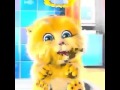 gatito del te quiero 