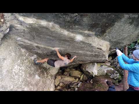 Simon Lorenzi in Magic Wood