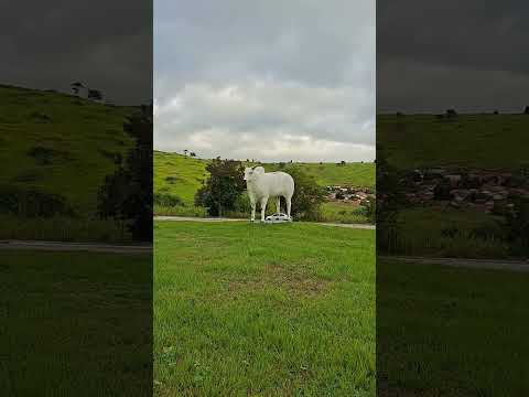 Parei no trevo de Carlos Chagas MG //#paponaestrada #rodovias #cidadesdeminas