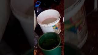 Түркістан. Тауық жегенде есіңе түспесін.(2)