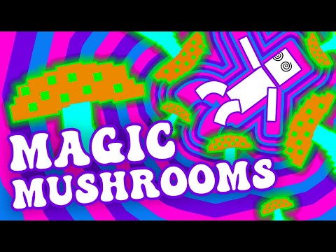 What Happens to Your Brain on Magic Mushrooms? ?