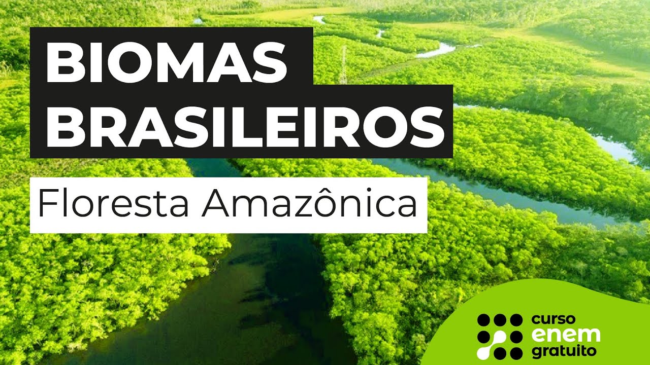 CLAUDIA BIO BIOMAS BRASILEIROS FLORESTA AMAZÒNICA