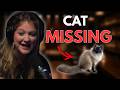 Missing Cat Before Nashville Audition