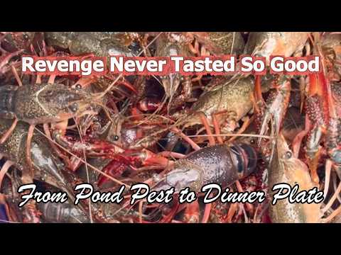How to Cook a Cajun Crawfish Boil | Wild Crawfish Harvested From Our Pond
