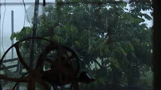 Som de Chuva na casa da Mãe, para Dormir , Relaxar, Meditar, Estudar, Orar   8 Horas