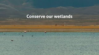 World Wetlands Day 2022