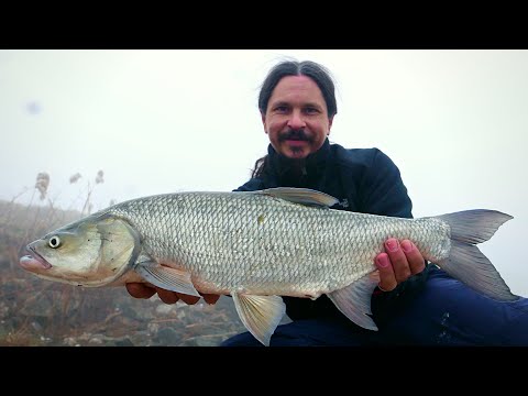 Early spring ASP Fishing