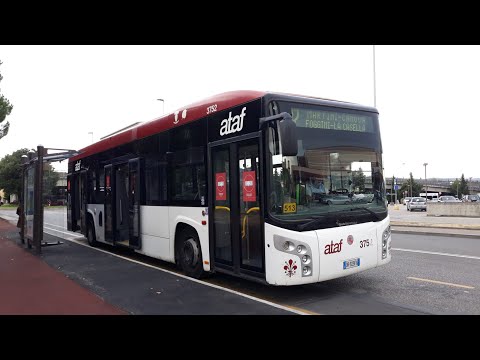 route 77|bredamenarini bus avancity| ataf firenze