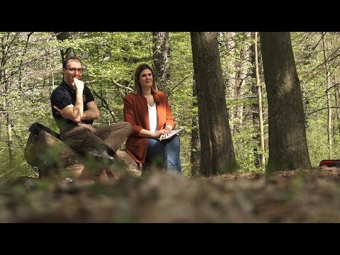 Vjera i nada - Camino de Santiago (Put sv. Jakova)