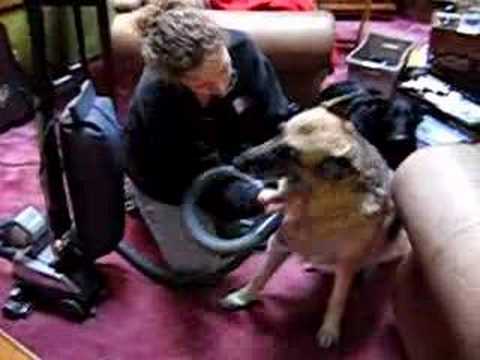 Willamina Cybil Shepard luv luv luvs the vac!