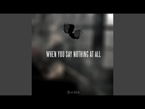 When You Say Nothing at All