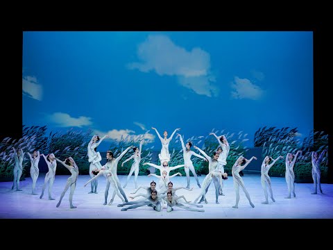 Gala de Ballet Chino - El Canto de la Grulla (Extracto del Acto II)