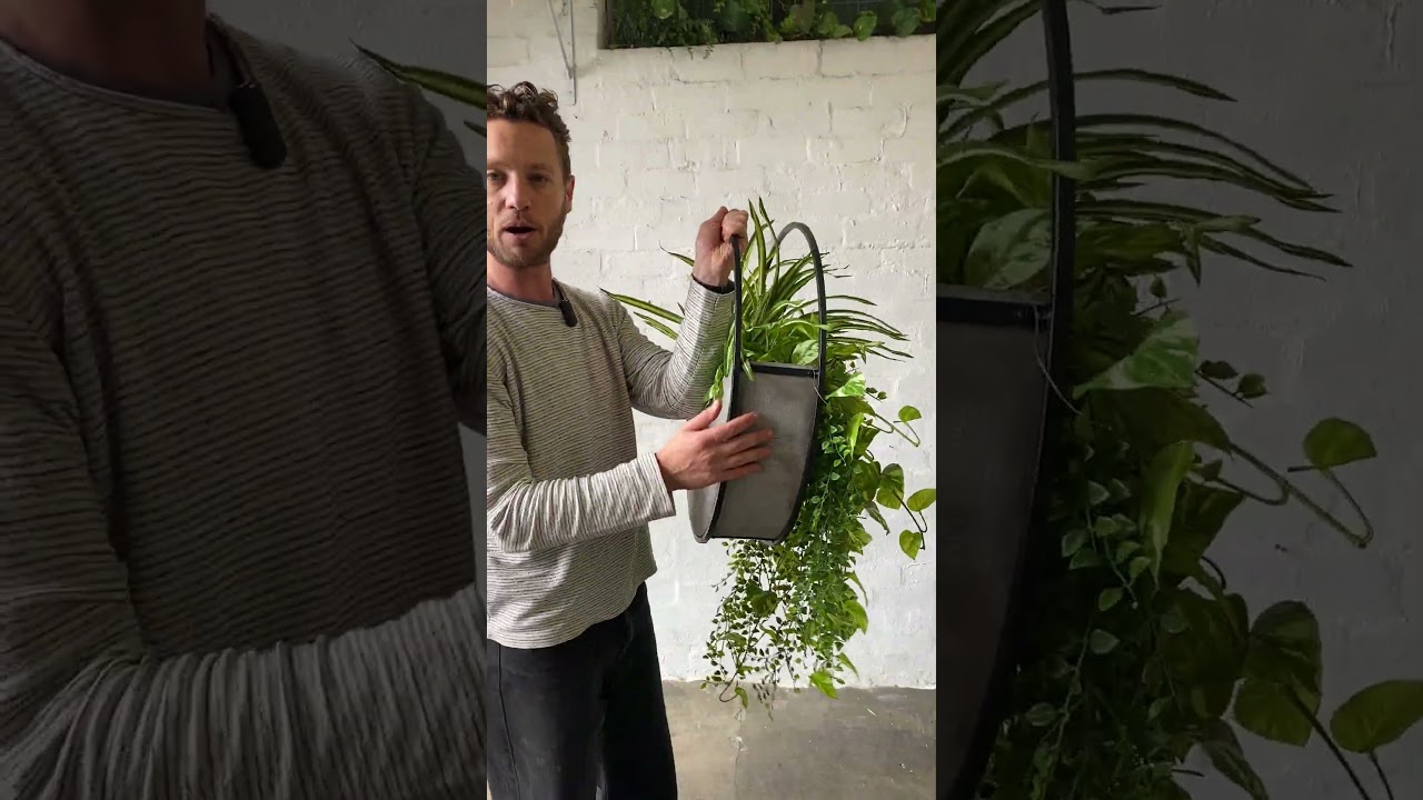 Up Close with our 60cm Wall Planter