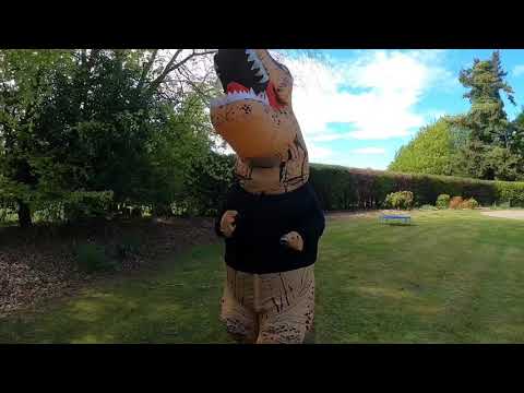 Dirty Dino’s | Random Rex of Kindness 🦖🦖🌈