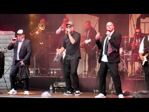 Music Monks - A Tribute to Seeed and Peter Fox  -  beim Musiksommer Brilon 2023