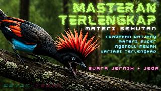 Download lagu MASTERAN BURUNG GACOR VARIASI MATERI MEWAH TERLENGKAP ROLL TEMBAK BESETAN COCOK UNTUK MURAI BATU mp3