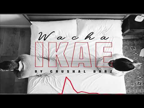 Crushal Barz - WACHA IKAE  ( Audio Visulizer)