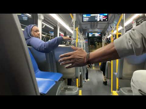 Cta Bus 82