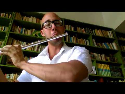 Promotional video thumbnail 4 for La Flauta Romántica