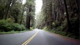 preview picture of video 'Prairie Creek Redwoods State Park - 09/18/2012'