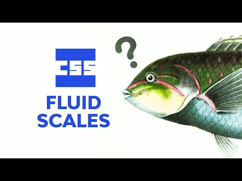 HTML CSS for Beginners FREE MEGA COURSE 7 Hours