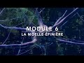 Moelle épinière : anatomie, divisions et fonctions expliquées clairement