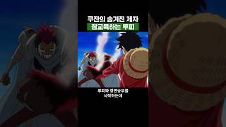 원피스) 쿠잔의 숨겨진 제자 참교육하는 루피