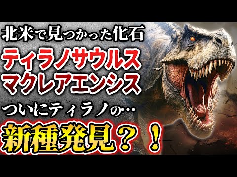 ティラノサウルス科 - 定義