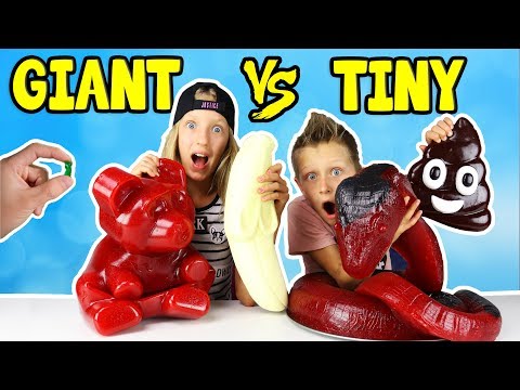 GIANT GUMMY vs TINY GUMMY!!!