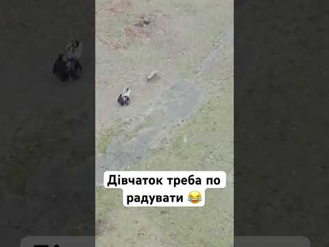 Шукають подарунки 😂 #like