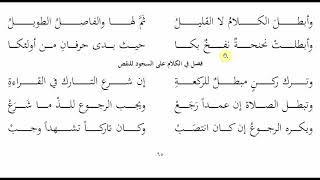 صورة 65ملح الناد   باب سجود السهو3   عامر بهجت