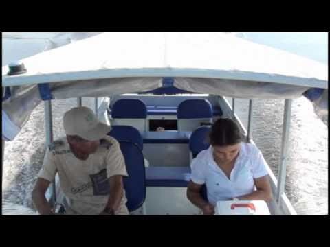 Esperança para o Amazonas