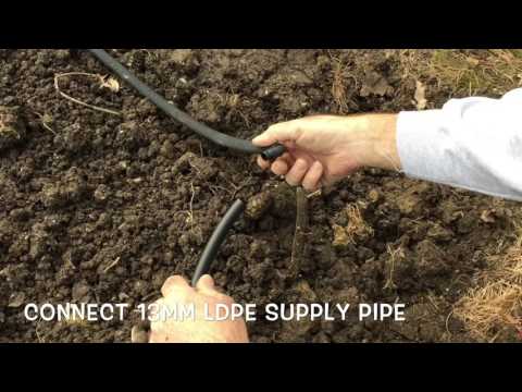 Irrigating potatoes with porous pipe lite