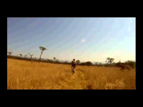 Mountain Biker Gets Takin out by BUCK INSANE FOOTAGE