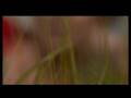 Monika Tovari Make Up In Adverts